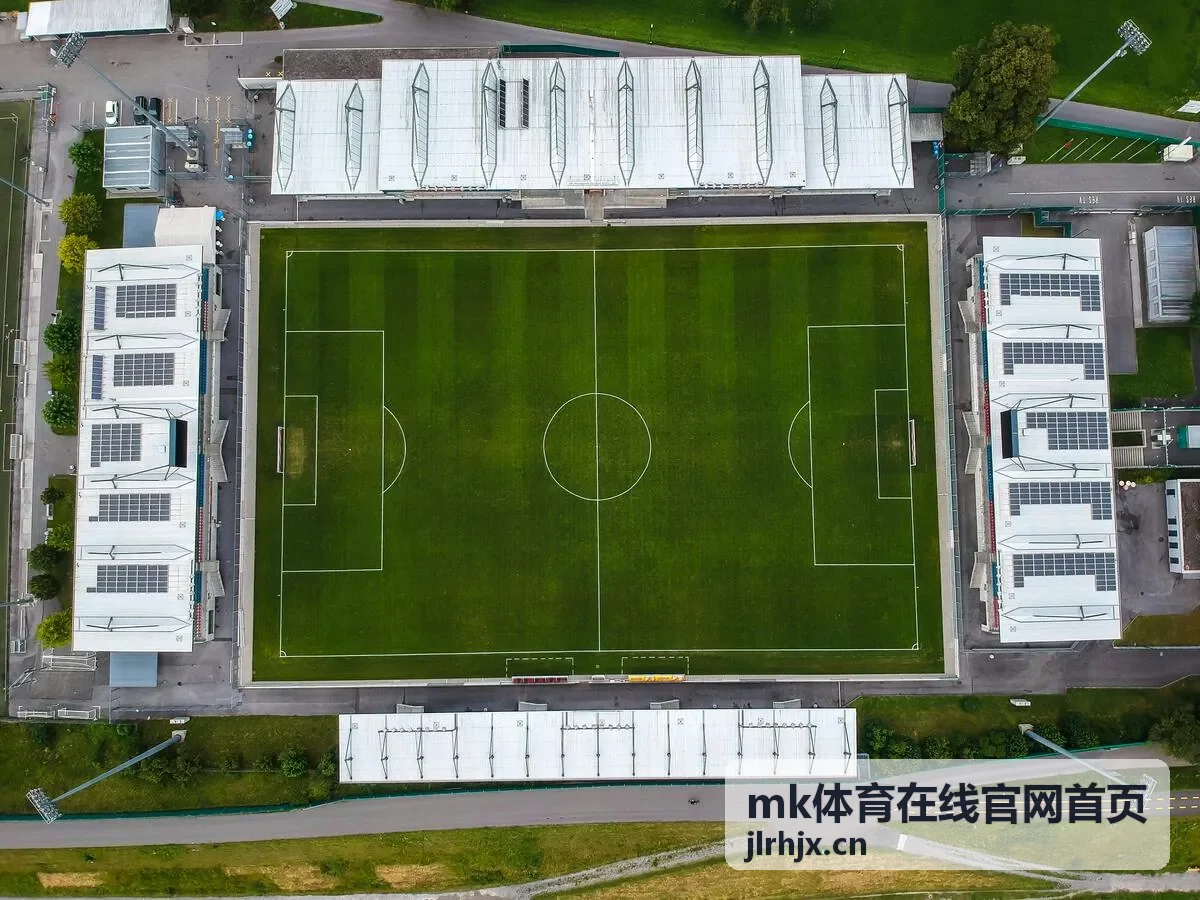 MK体育在线场景分类中的运动场景，展示户外活动与训练画面