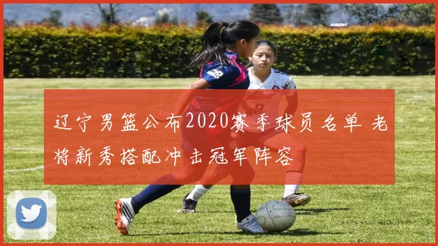 辽宁男篮公布2020赛季球员名单 老将新秀搭配冲击冠军阵容