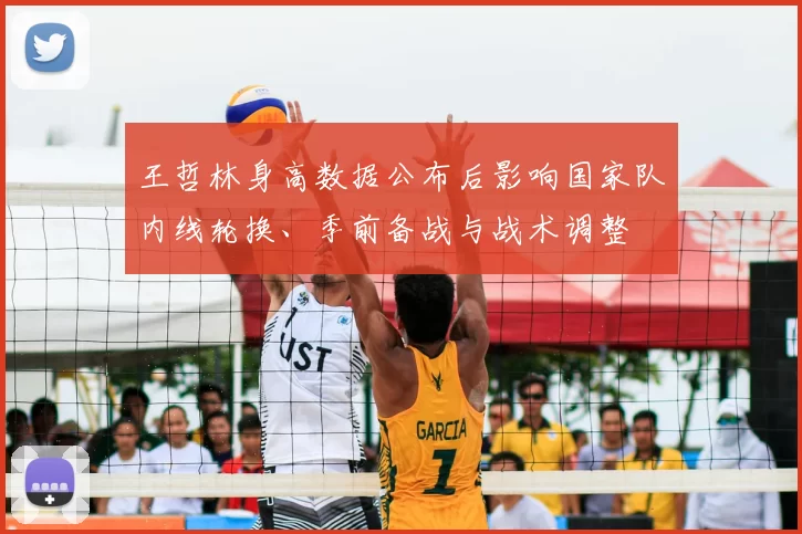 王哲林身高数据公布后影响国家队内线轮换、季前备战与战术调整