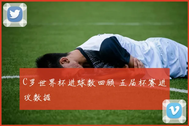 C罗世界杯进球数回顾 五届杯赛进攻数据