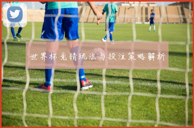 世界杯竞猜玩法与投注策略解析