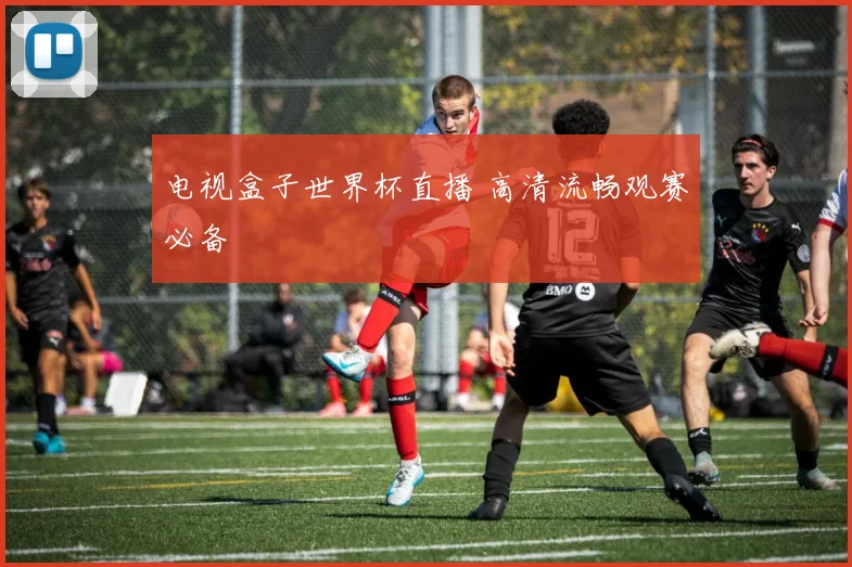 电视盒子世界杯直播 高清流畅观赛必备