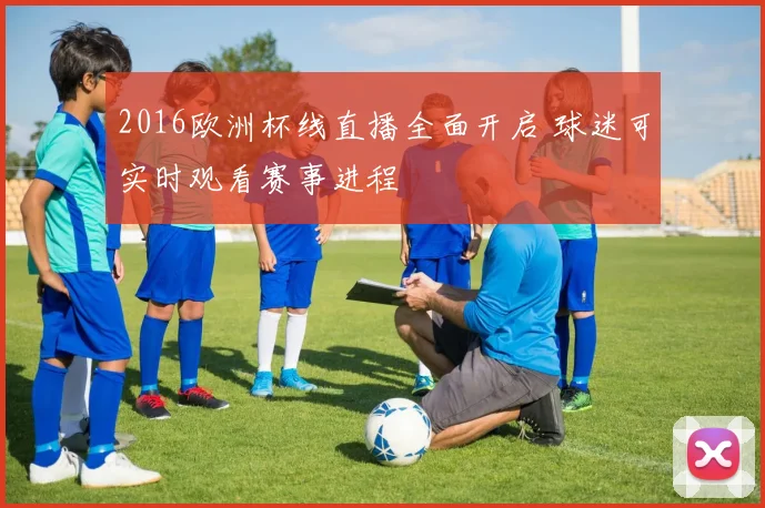 2016欧洲杯线直播全面开启 球迷可实时观看赛事进程
